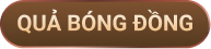 QUẢ BÓNG ĐỒNG